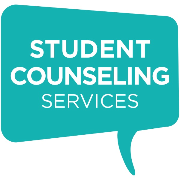  Counseling services for students