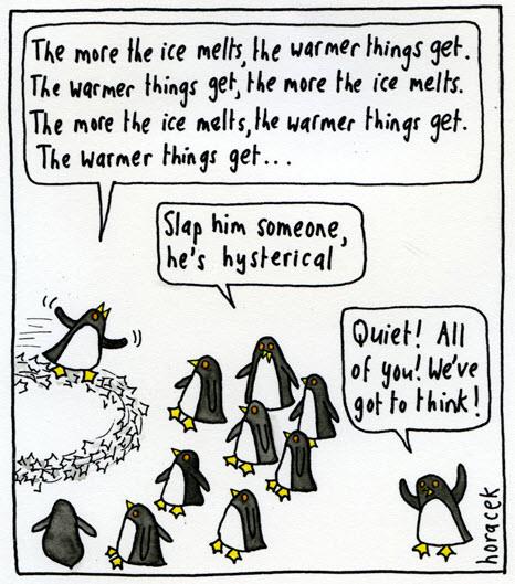 hysterical penguins 