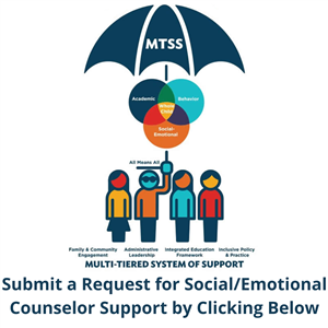MTSS-B Counselor Support