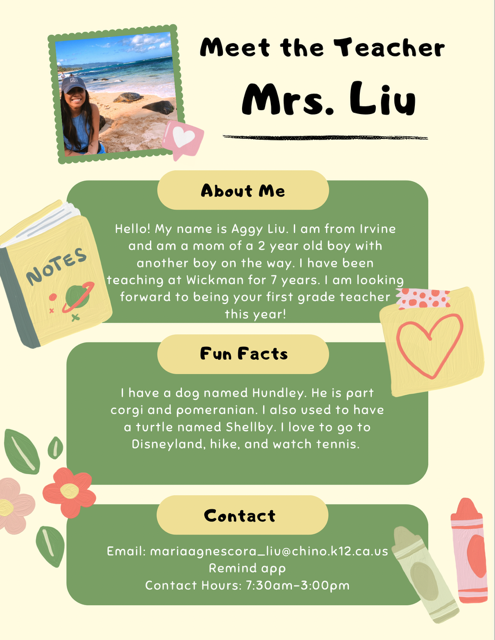 Meet The Teacher