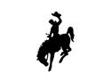 Cowboy