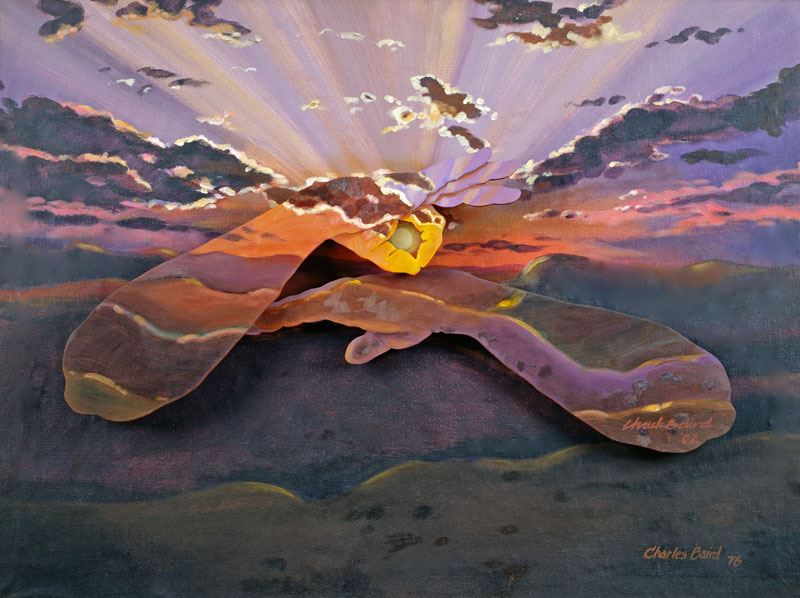 Ann Silver