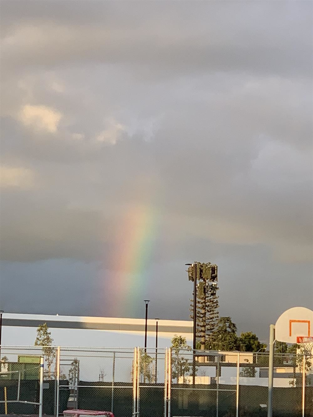 rainbow by BV